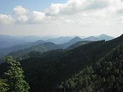 P5290026.JPG