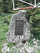 P5290027.JPG