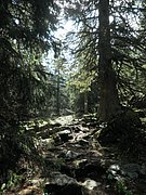 P5290030.JPG