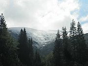 P5290033.JPG