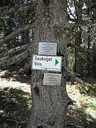 P5290036.JPG