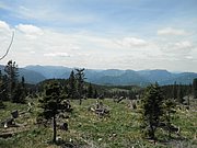 P5290043.JPG