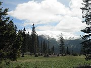 P5290046.JPG