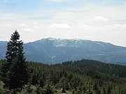 P5290047.JPG