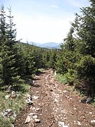 P5290048.JPG