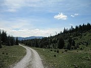 P5290050.JPG