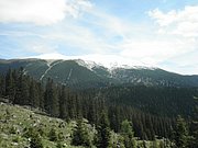 P5290054.JPG