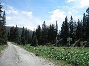 P5290056.JPG