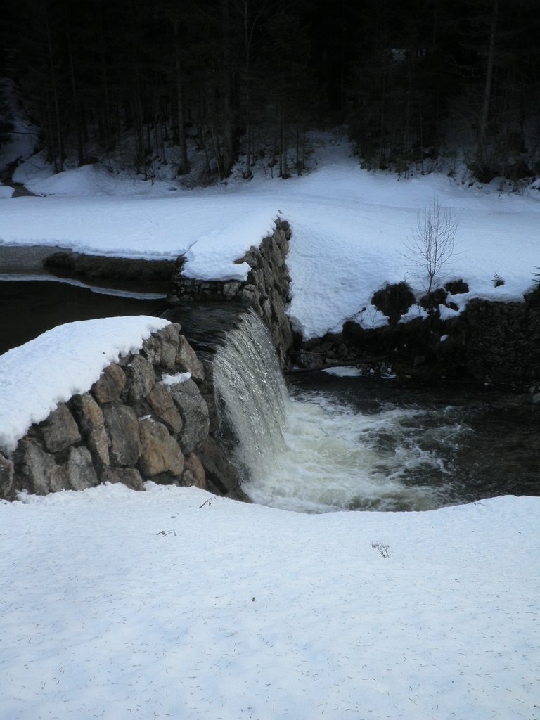 P1160007.JPG