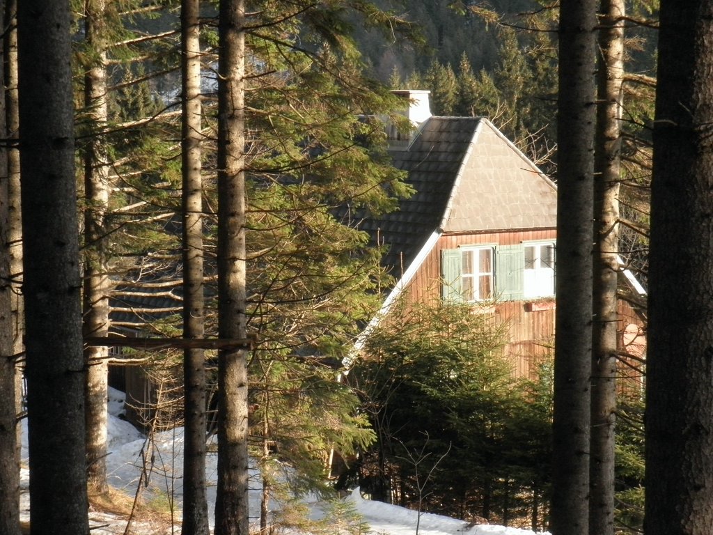 P1160008.JPG