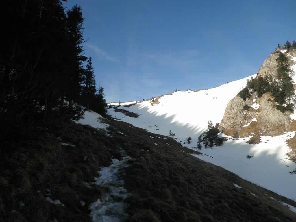 P1160023.JPG