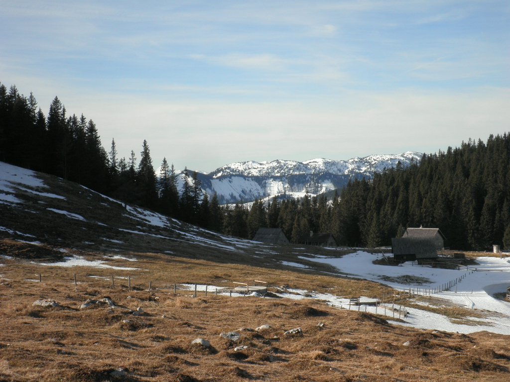 P1160027.JPG
