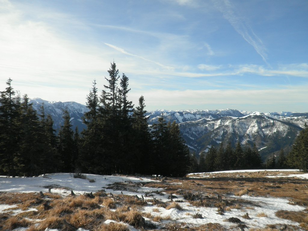 P1160041.JPG