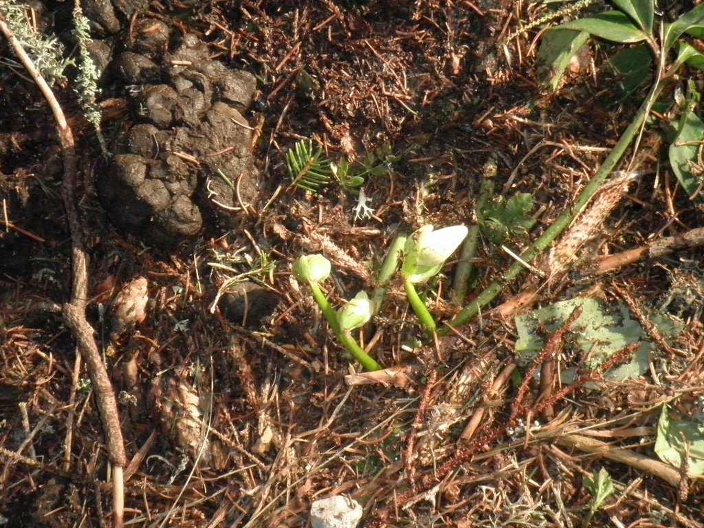 P1160060.JPG