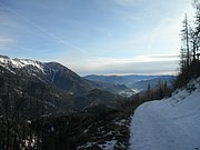 P1160020.JPG