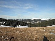 P1160025.JPG