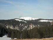 P1160026.JPG