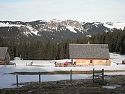 P1160039.JPG