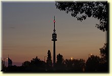 _IGP6856.JPG