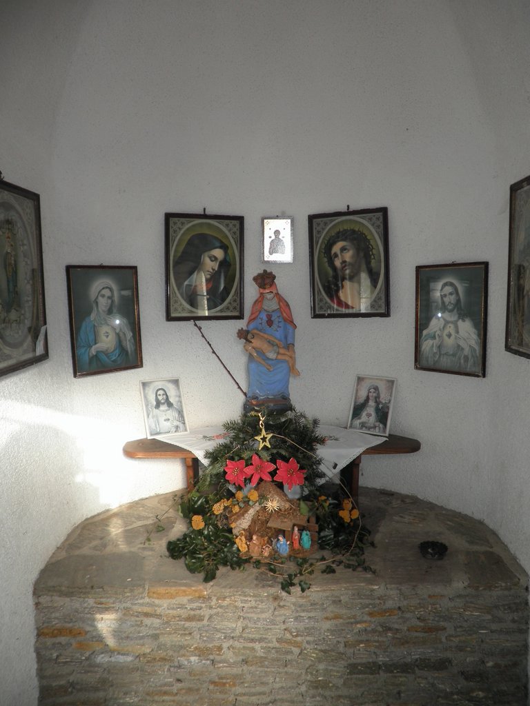 P1050115.JPG