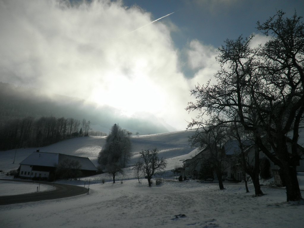 P1050116.JPG