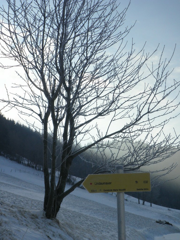 P1050124.JPG