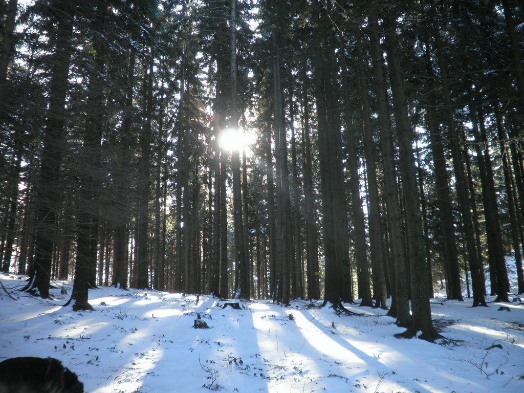 P1050129.JPG