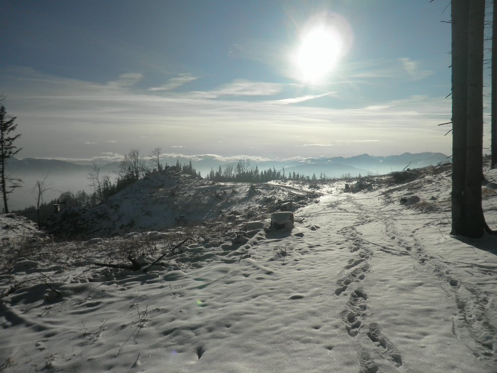 P1050154.JPG