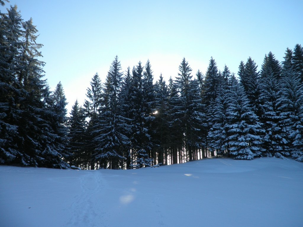 P1050155.JPG