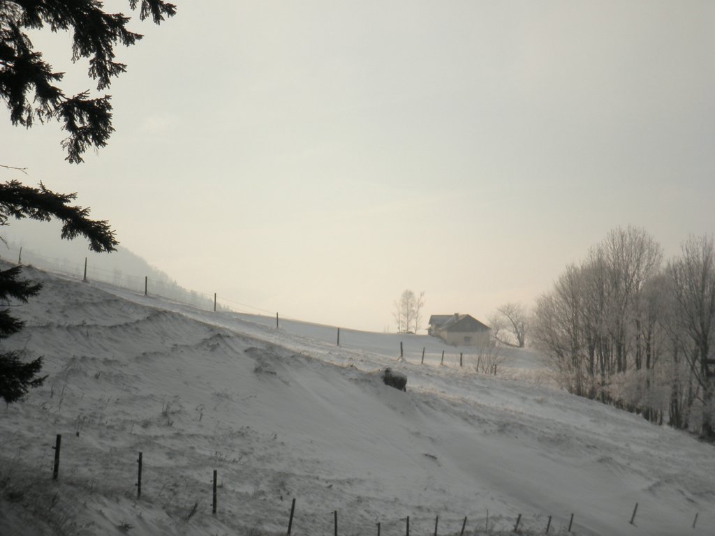 P1050159.JPG