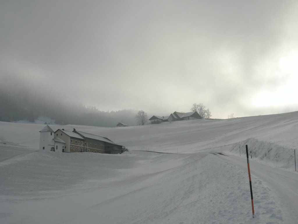 P1050162.JPG