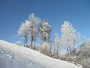 P1050117.JPG