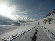 P1050118.JPG