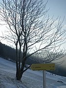 P1050124.JPG