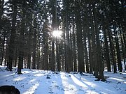 P1050129.JPG