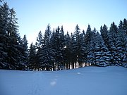 P1050155.JPG