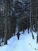 P1050158.JPG