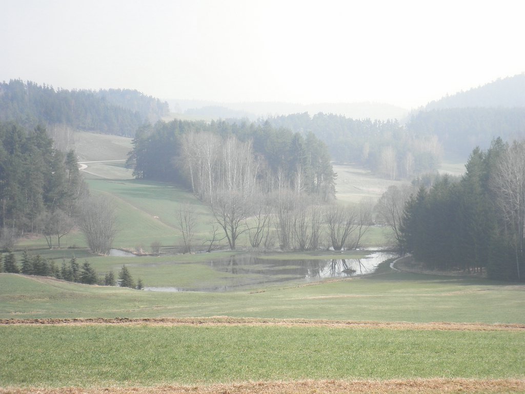 P4210038.JPG