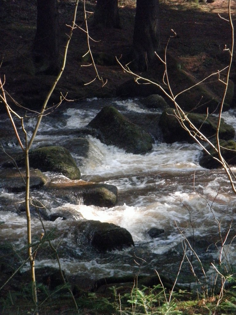 P4210040.JPG