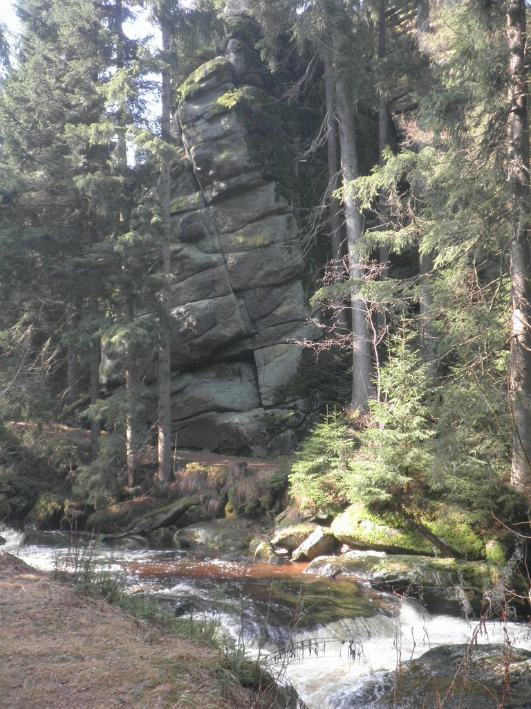 P4210054.JPG
