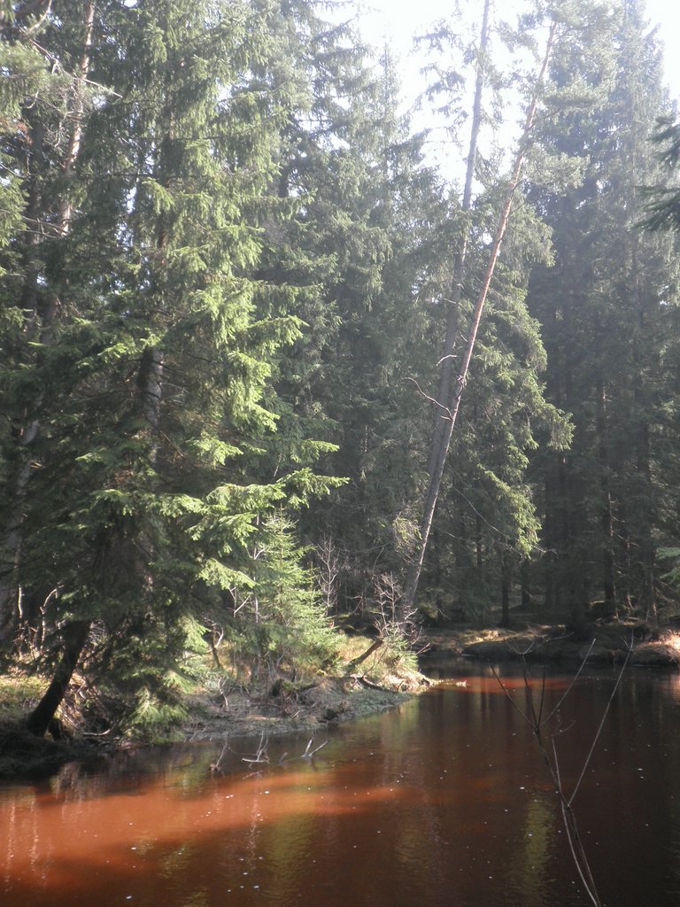 P4210065.JPG