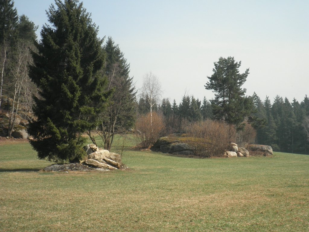 P4210067.JPG