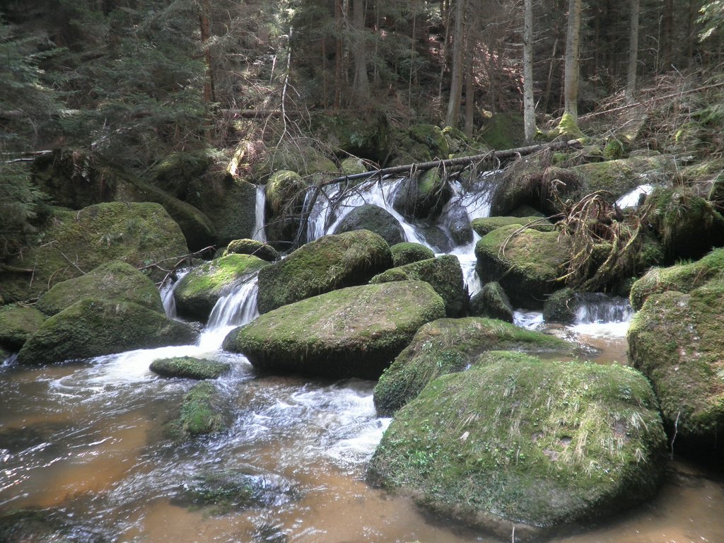 P4210092.JPG