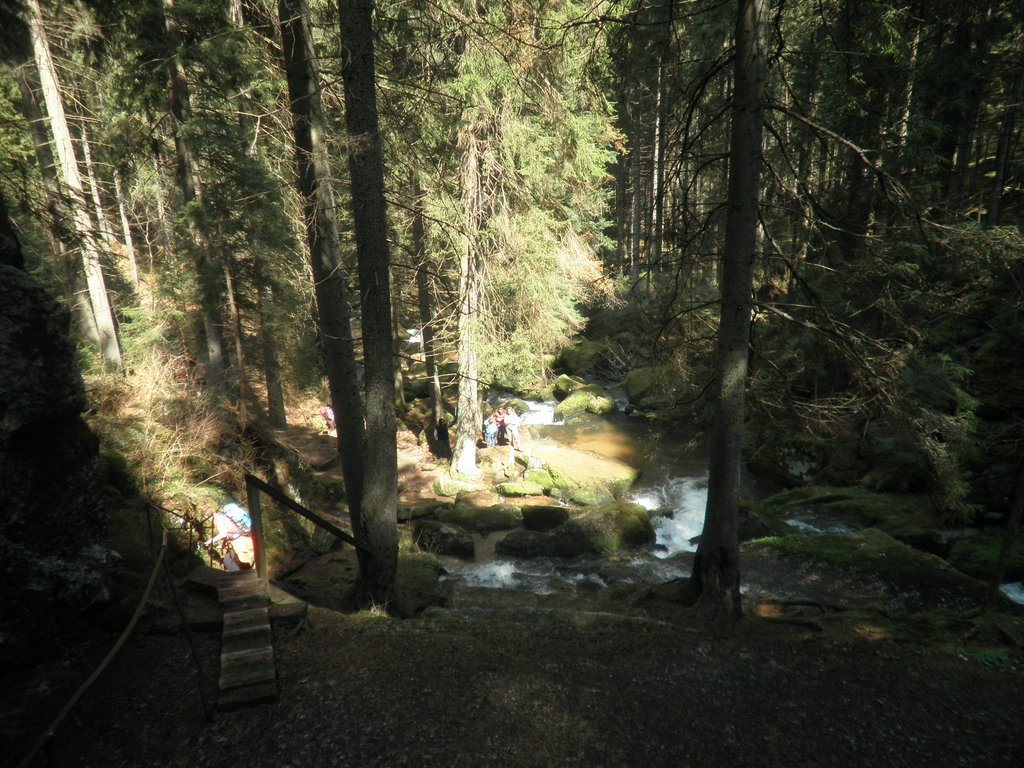 P4210098.JPG