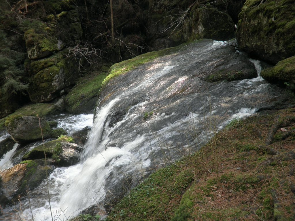 P4210100.JPG