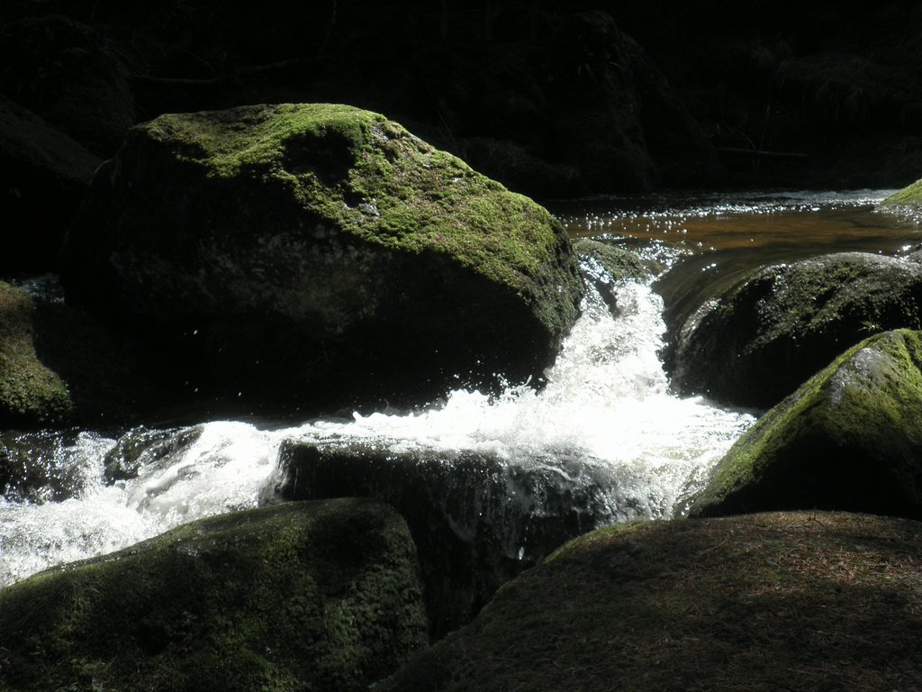 P4210104.JPG