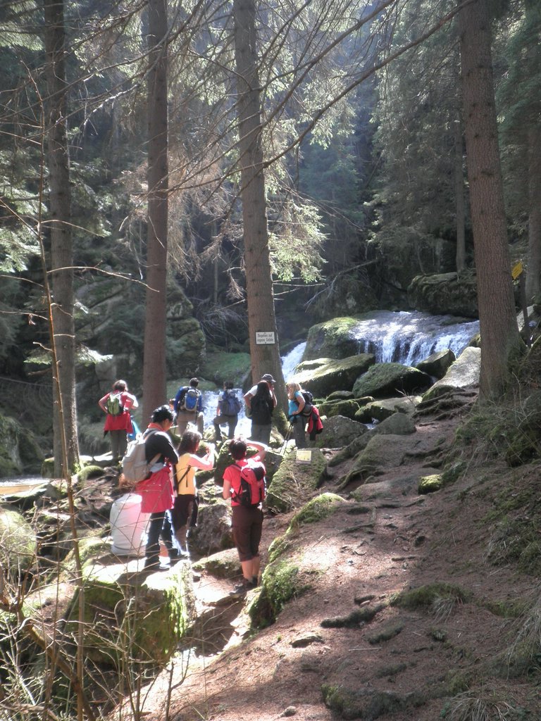 P4210107.JPG