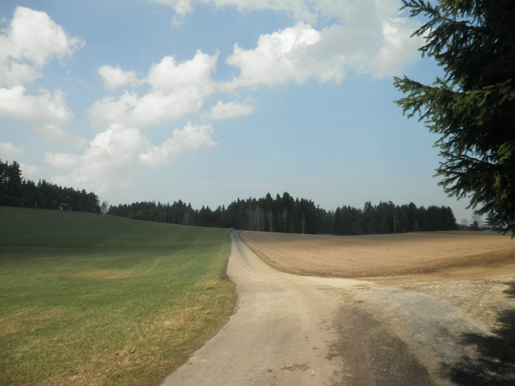 P4210127.JPG