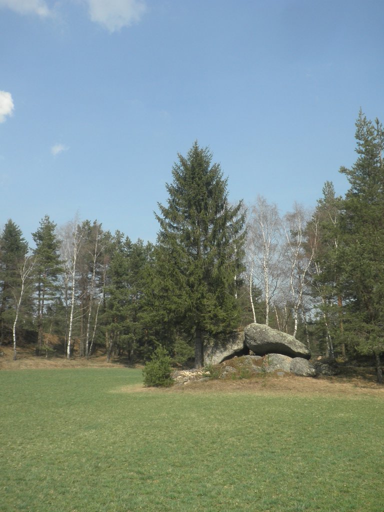 P4210128.JPG