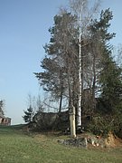 P4210035.JPG
